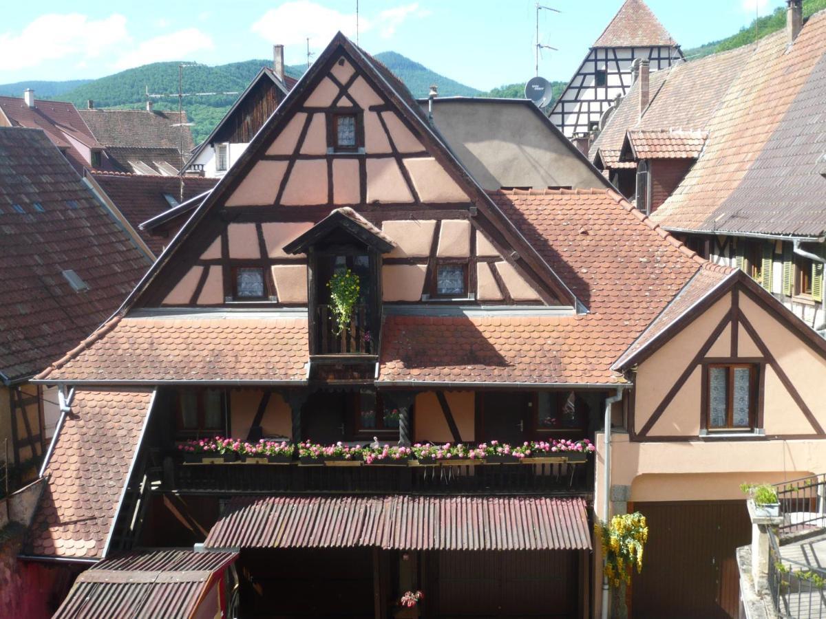 Ferienwohnung le seigle Kaysersberg-Vignoble Exterior foto